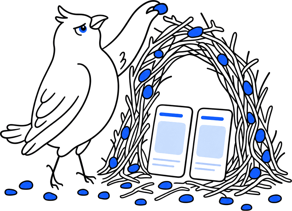 The Storeboard bowerbird decorating its bower, an arch of twigs sheltering app screenshots